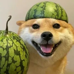 mochi