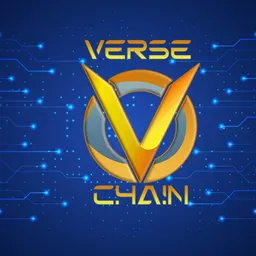 V Chain