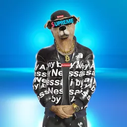 SUPREME office -supreme Dog coin