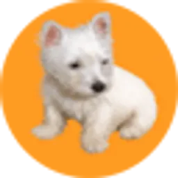 LilyBux