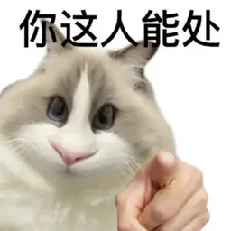 你这人能处