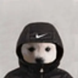 WIN