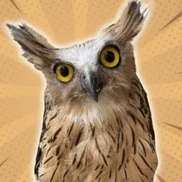 DOWLY