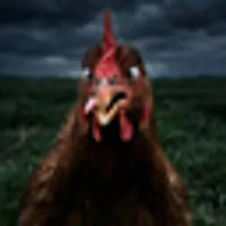 CHICKEN