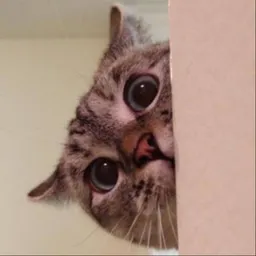 NALA