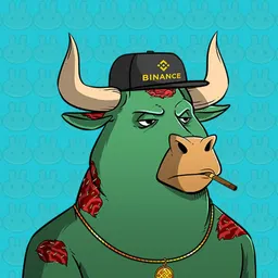 BNB Bull Inu