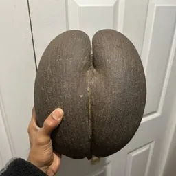 ACC