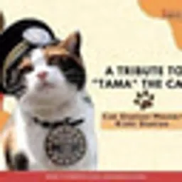 TAMA