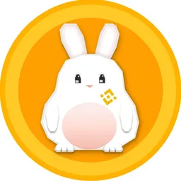 BNBrabbit