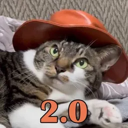 CWH2.0