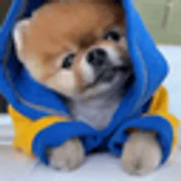 JIFFPOM 