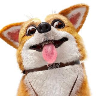 DERPY