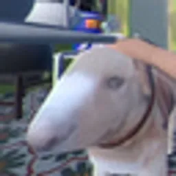 GoldDog