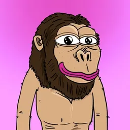 Homo