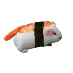 ratushi