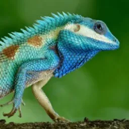 Lizard