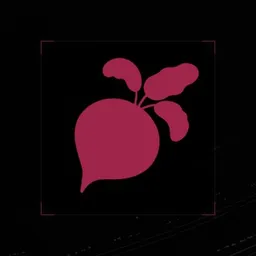 BEETS