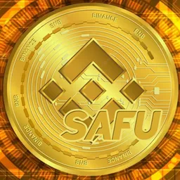 BSAFU