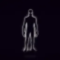 shadowX