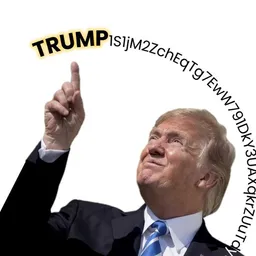 $TrumpIsTheCa