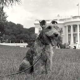 CHARLIE