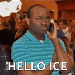 ICE OUT
