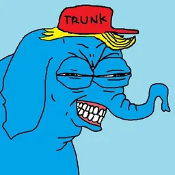 TRUNK