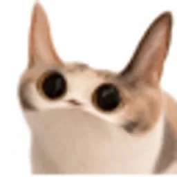 Meep