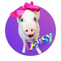 DAISY