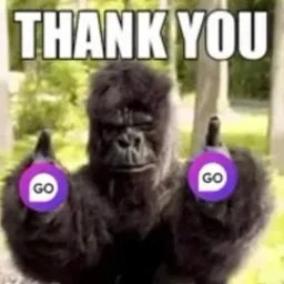 GOGO$
