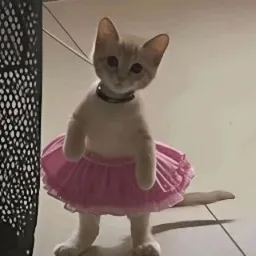 mimimi