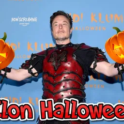 ELON🎃