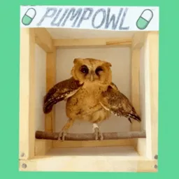 PUMPOWL