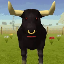 Dbull
