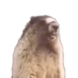 SCREAMO