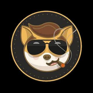 MuskyDoge