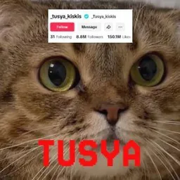 TUSYA