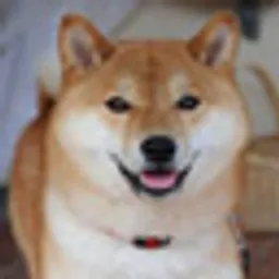 TAIKI
