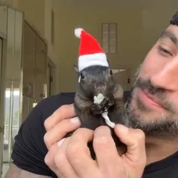 Pnutmas