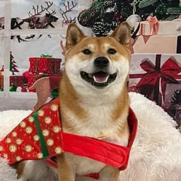 shibasanta