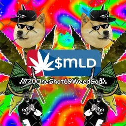 MLD