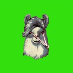 🟧🦙