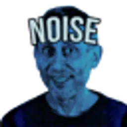 NOISE