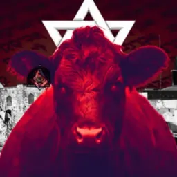 JewMoo