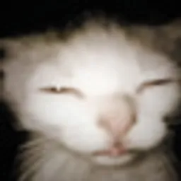 eepy