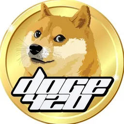 DOGE420