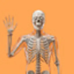 SKELETON