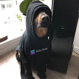 MAVERICK