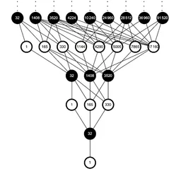 11D MODEL