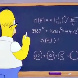 NEWTON 